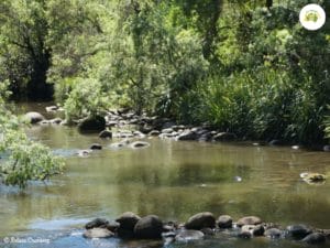Your camping environment