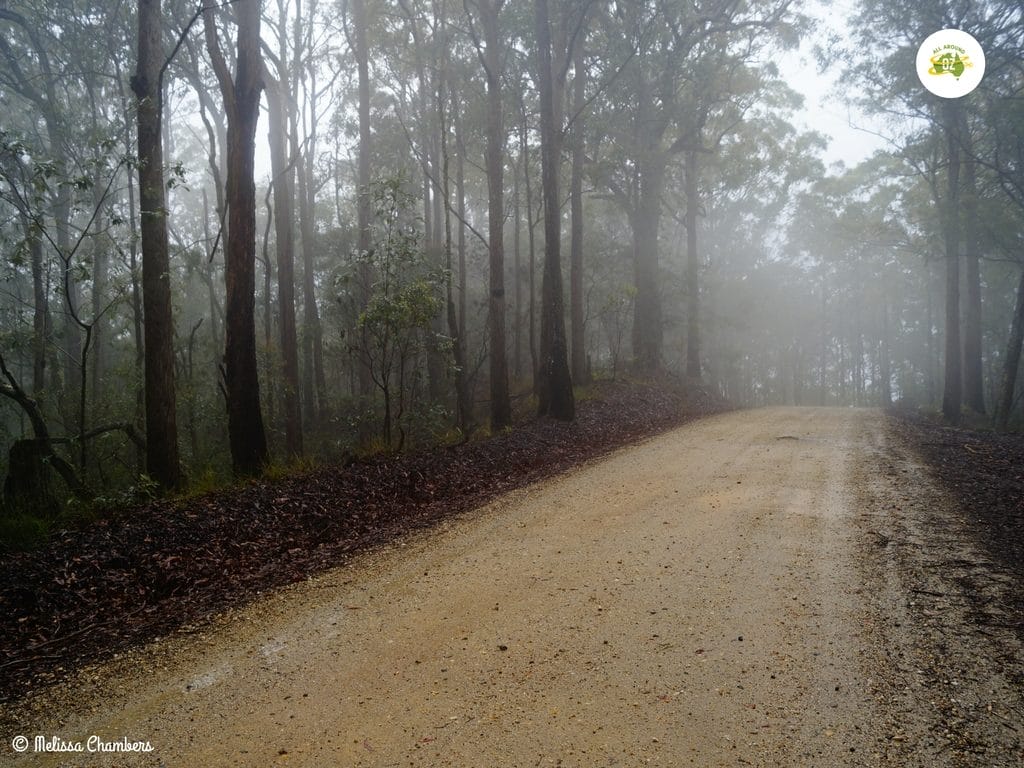 D'Aguilar National Park