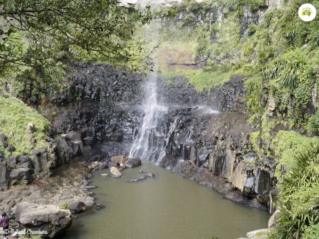 Purling Brook Falls Walking Track