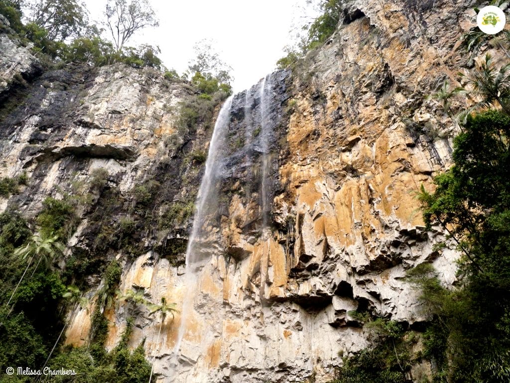 Purling Brook Falls Walking Track