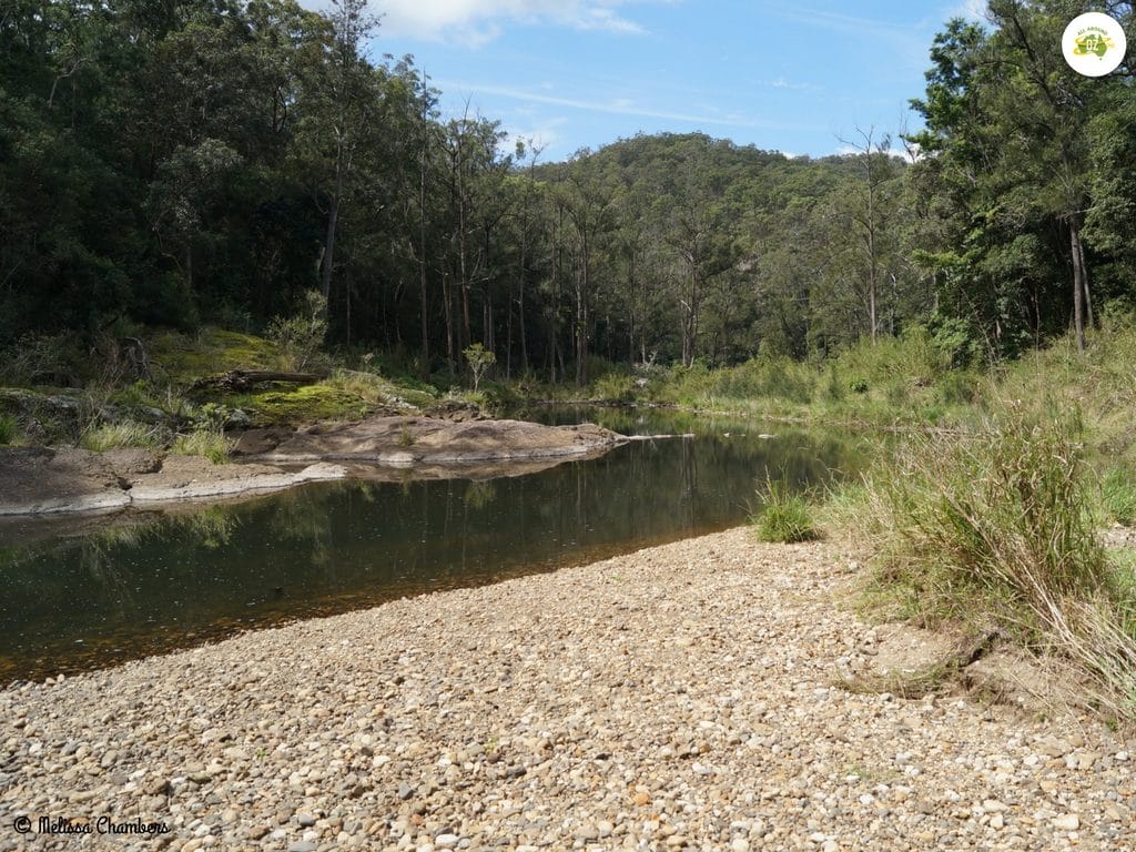Nerang River