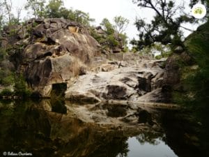 Coomba Falls is about an hours drive from Crows Nest