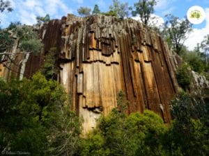 Sawn Rocks near Narrabri