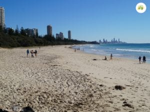 Gold Coast with Visitors
