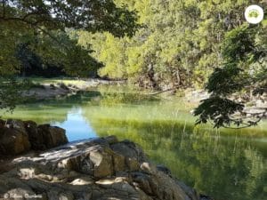 Currumbin Valley and Tomewin Mountain Currumbin Rock Pools