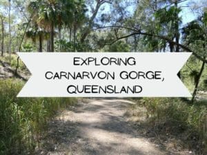 Exploring Carnarvon Gorge Queensland 1