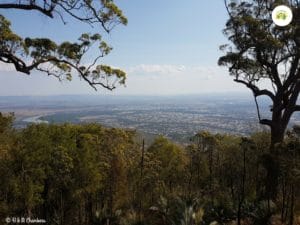 Rockhampton from Mount Archer