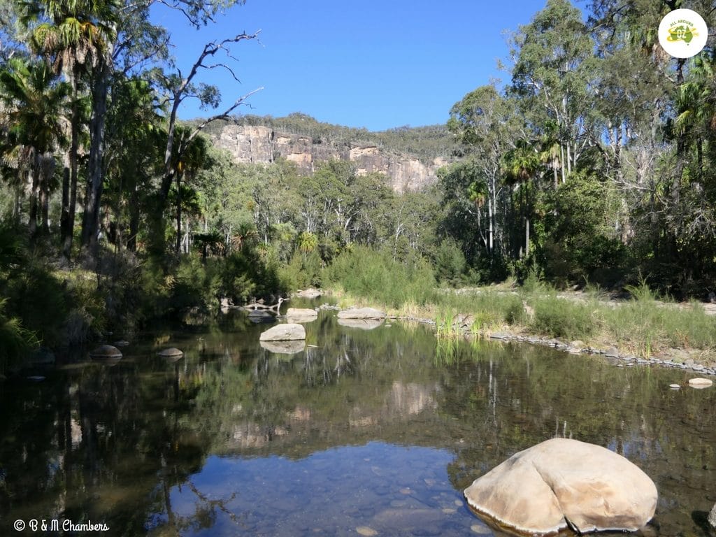 Our Year in Review - Carnarvon Gorge