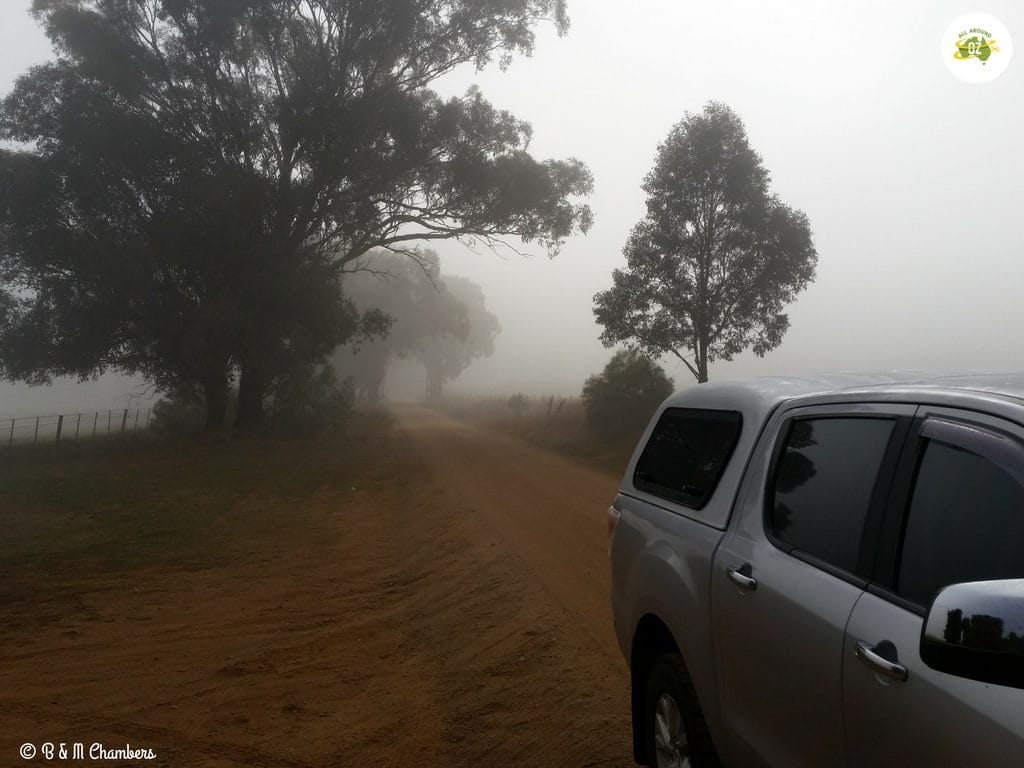 Our Year in Review - Cold and Foggy in Cowra.
