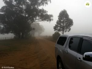 Our Year in Review - Cold and Foggy in Cowra.