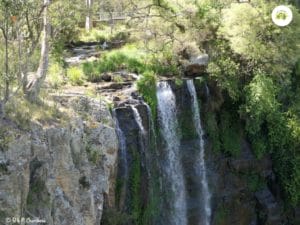 top of queen mary falls