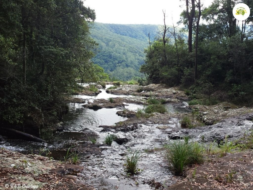 Our Year in Review - Gold Coast Hinterland