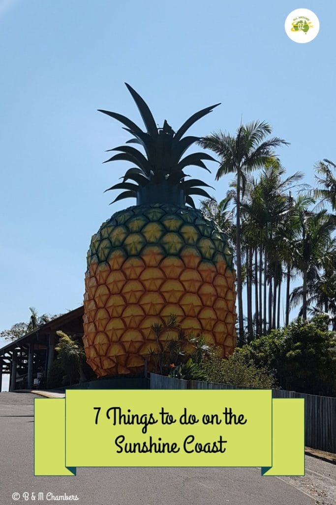 Things to do on the Sunshine Coast - Visit the Big Pineapple