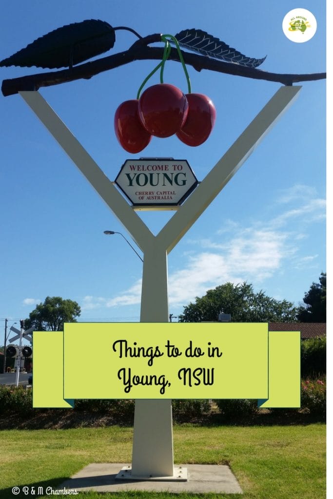 Things to do in Young, NSW
