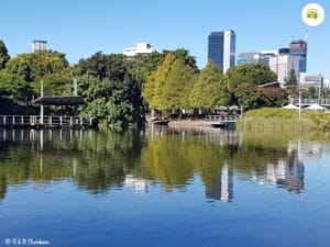 Roma Street Parklands Lake