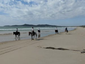 Beach Horse Riding at Noosa North Shore