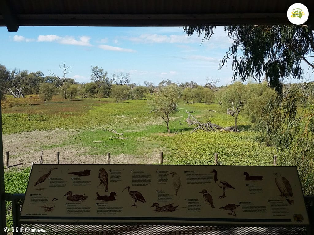 Coonamble, NSW - Macquarie Marshes