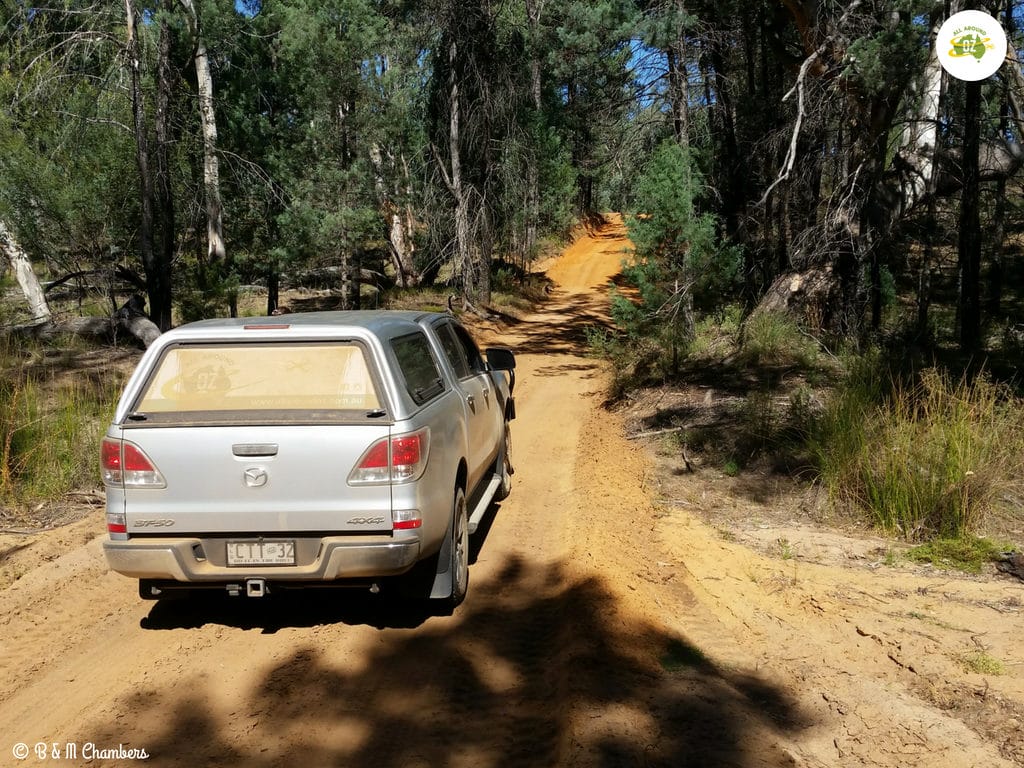 Exploring The Pilliga State Forest - Rough Dirt Road