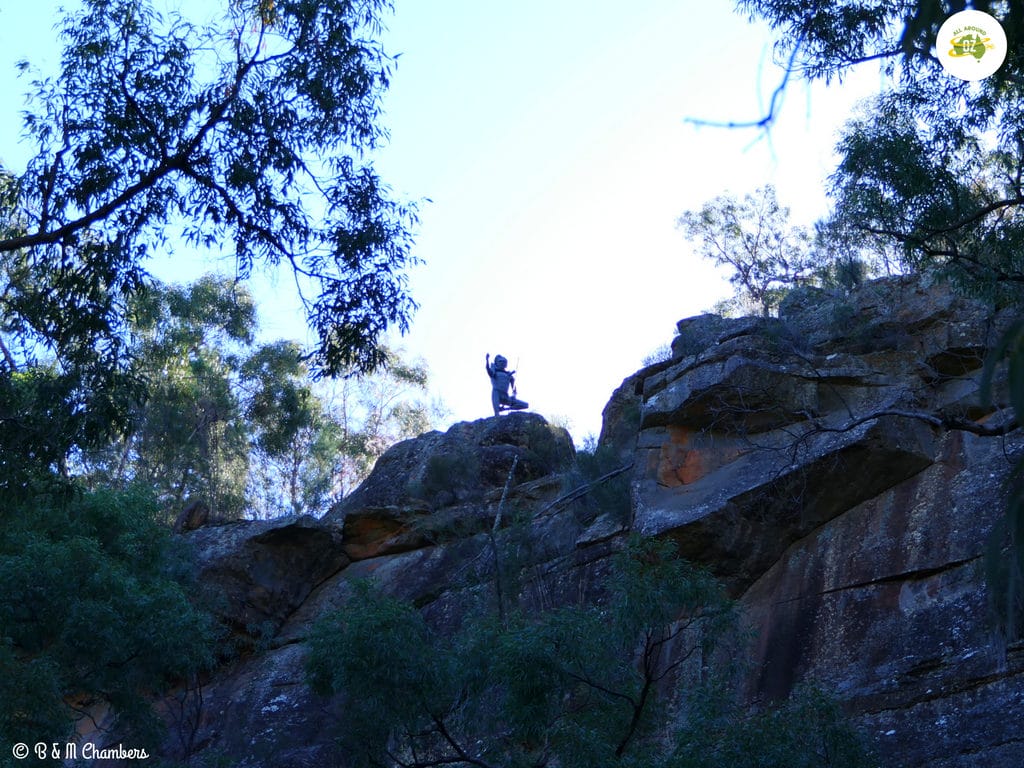 Exploring the Pilliga State Forest - First Lesson from below