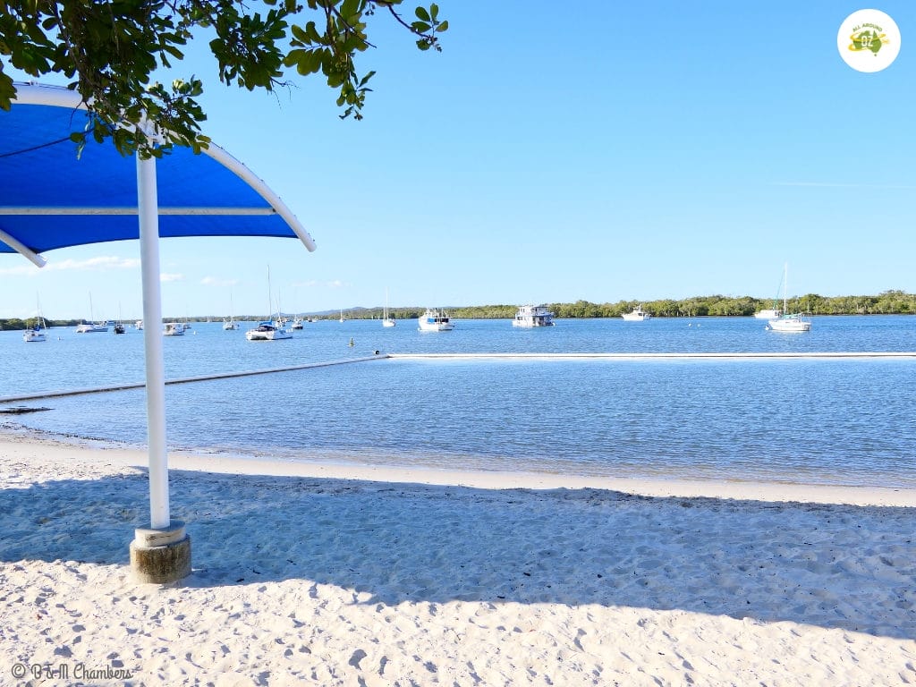 Jacobs Well Tourist Park - Swimming Area