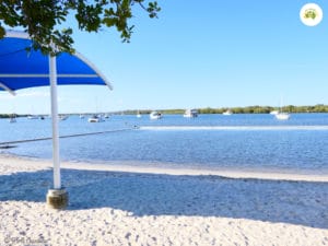 Jacobs Well Tourist Park - Swimming Area