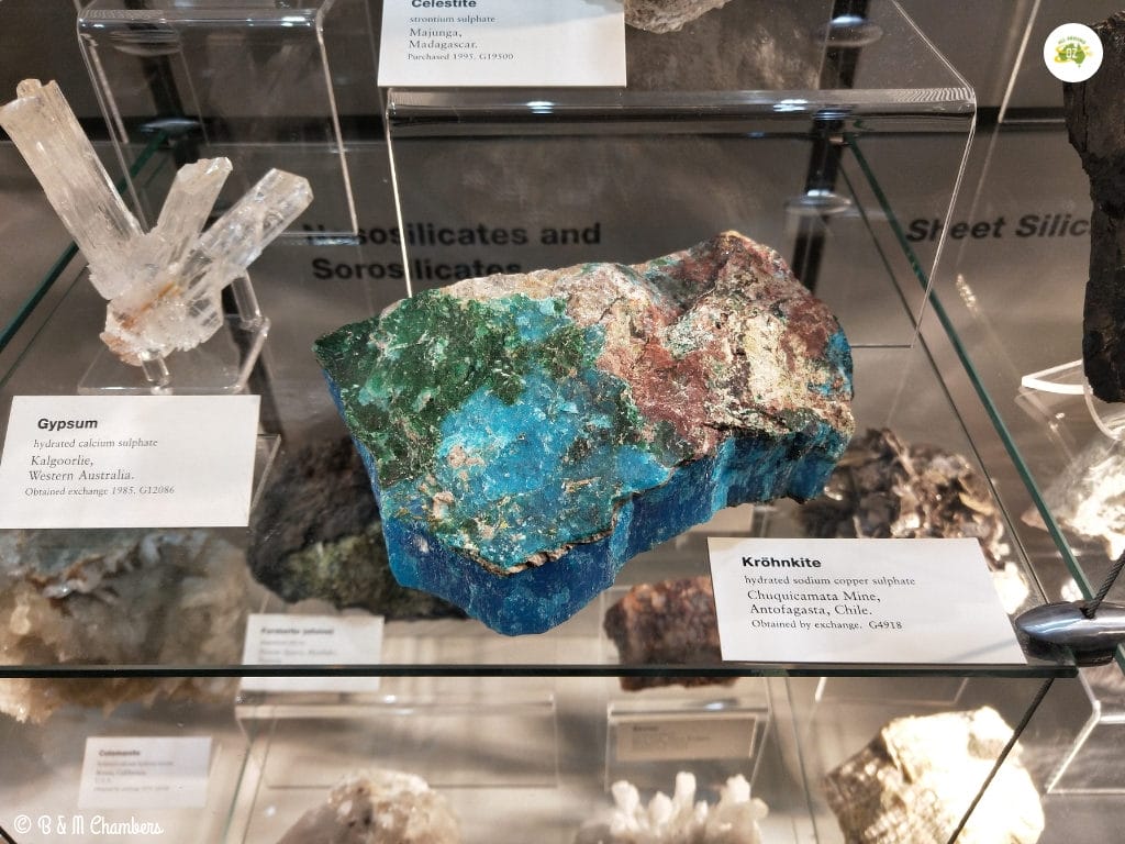 Adelaide in Two Days - Adelaide Museum