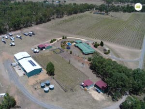 Kingsley Grove Winery