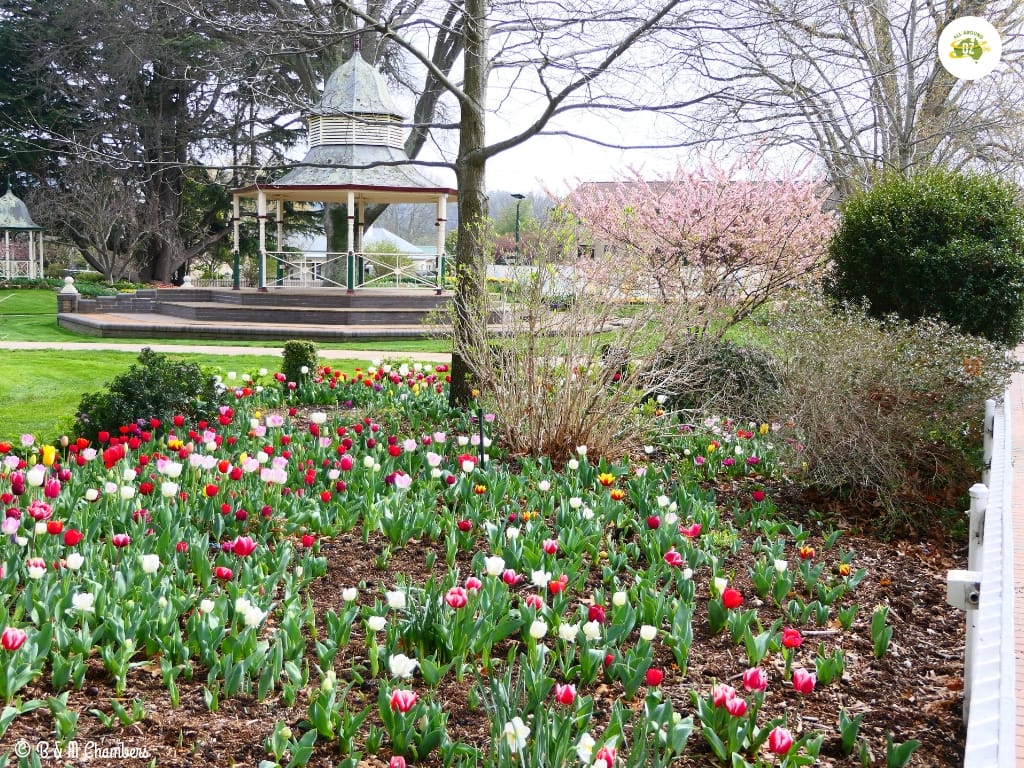 Exploring the Southern Highlands - Corbett Gardens, Bowral