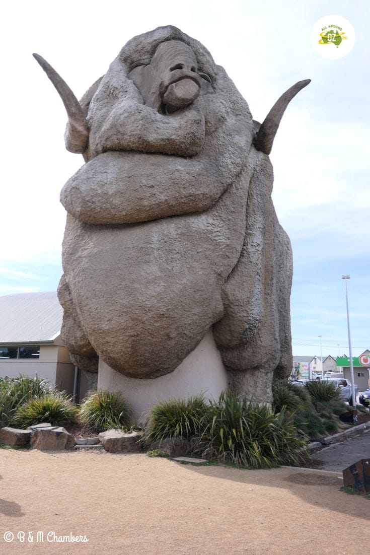 Goulburn - The Big Merino