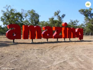 Amazing 2