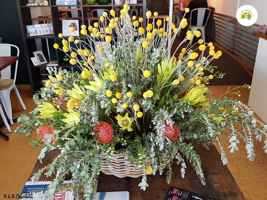 Planted at Cootamundra