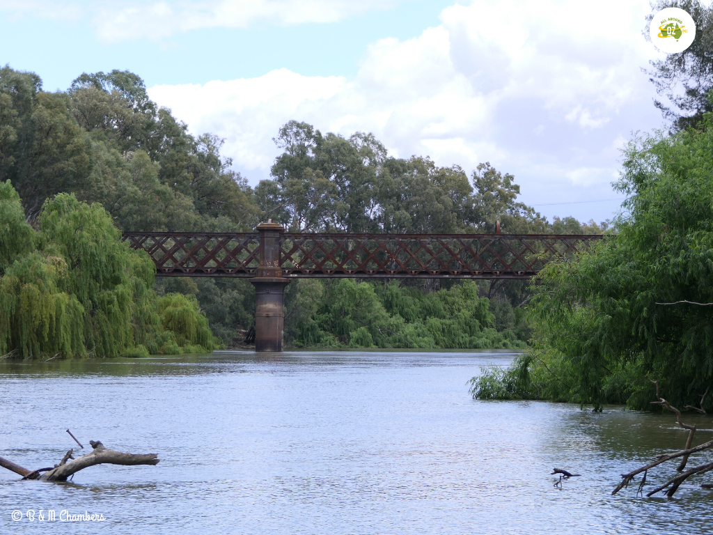 Narrandera Railway Bridge