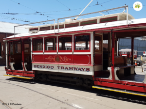 Exploring Bendigo by Tram