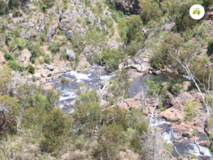 MacKenzie Falls