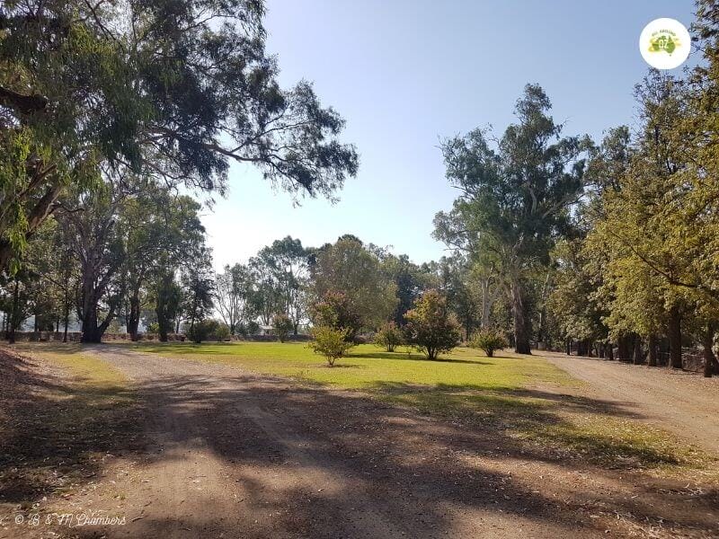 Jemalong Weir 1