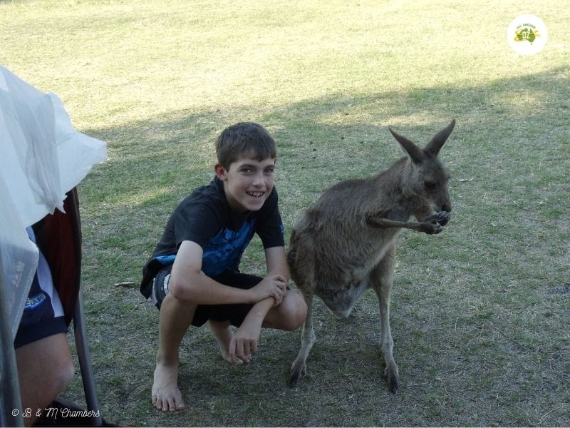 Exploring the towns of Roma, Charleville and Blackall.
