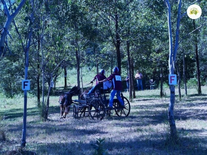Carriage Driving