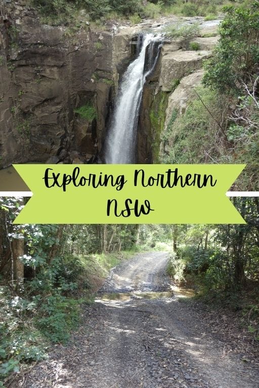 Exploring Northern NSW Pin