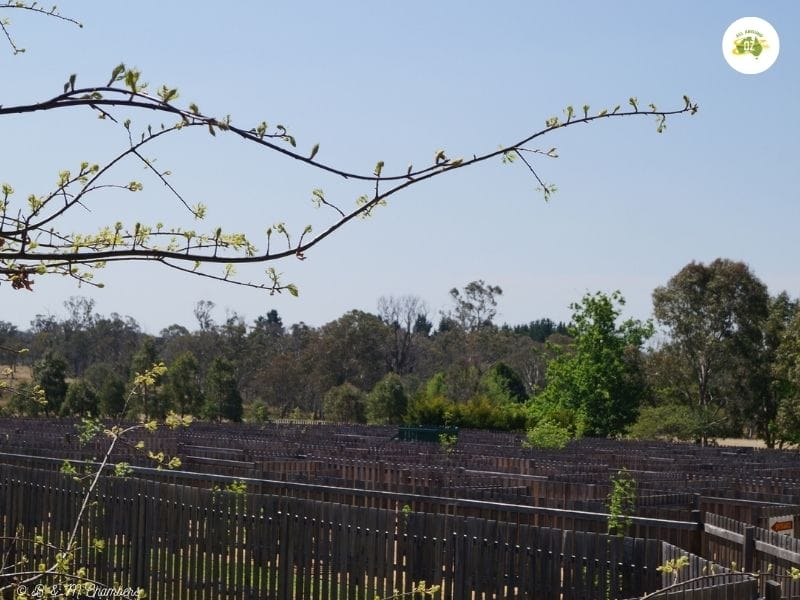 Things to do in Stanthorpe, Queensland