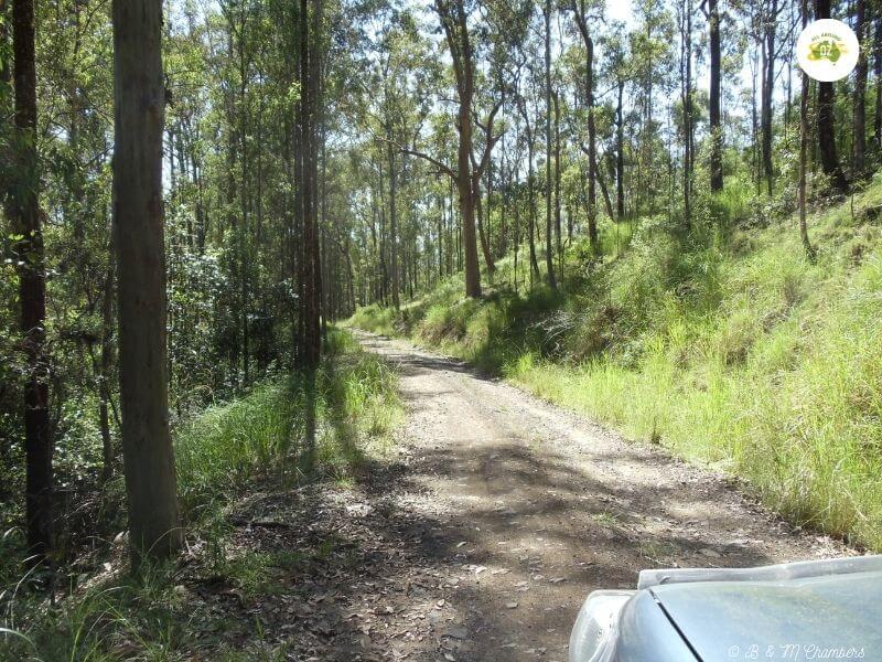 Exploring Northern NSW