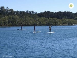 Stand Up Paddle Boarding