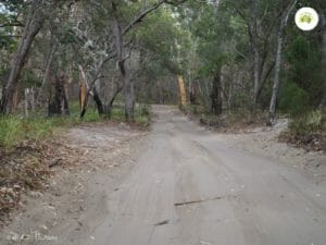 Driving on Sand
