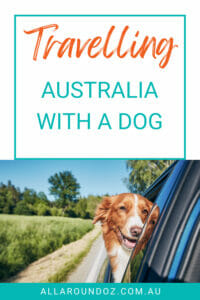 dog friendly road trips Australia