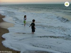 Ellis beach Kids