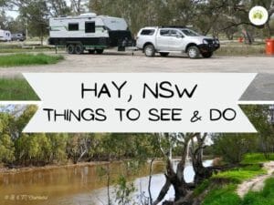 Hay NSW FI 1