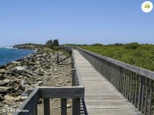 Urunga Headland