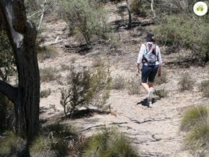 Bush Walking 1