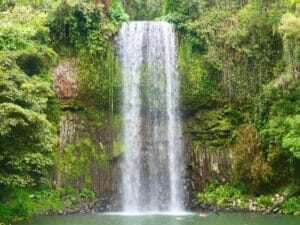 Atherton Tablelands Waterfalls Millaa Millaa