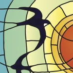 Smart bird id app