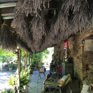 Things to do in Hepburn Springs and Daylesford